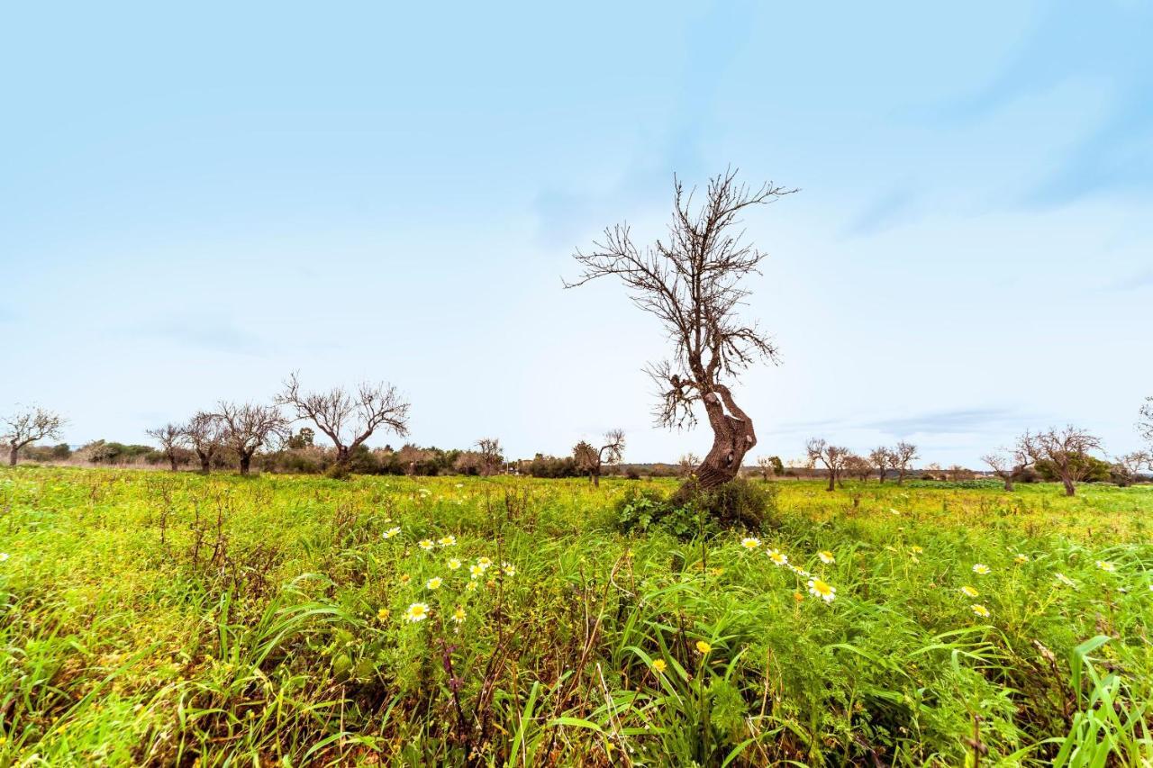 Finca Esplendor كامبوس المظهر الخارجي الصورة